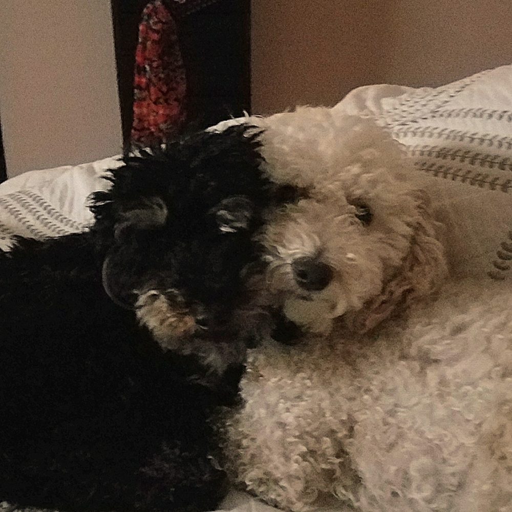 Meet your Posher, Karin